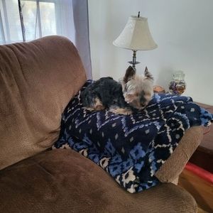 Meet your Posher, Rhonda